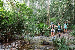 BIB: 
                            <button type="button" onclick="openModal(22346682)" class="btn btn-primary btn-sm float-right btn-popup" data-toggle="modal" data-target=".modal-high-quality">
                        <i class="fas fa-shopping-cart"></i> Add to Cart
                    </button>
                                            <button type="button" onclick="isThisMe(22346682, true)" class="btn btn-success btn-sm float-right btn-popup btn-isme hidden" data-toggle="tooltip" data-placement="bottom" title="นี่คือรูปของคุณใช่ไหม คลิกที่นี่เพื่อเอาเข้าอัลบั้ม">
                        <i class="fas fa-plus"></i> Add to album
                    </button>
                    <button type="button" onclick="isThisMe(22346682, false)" class="btn btn-warning btn-sm float-right btn-popup btn-isnotme hidden">
                        <i class="fas fa-ban"></i> Remove from album
                    </button>